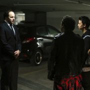 Piękna i bestia - galeria zdjęć - filmweb