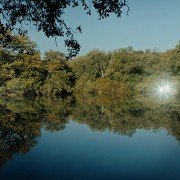 Tlamess - galeria zdjęć - filmweb
