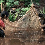 Brakujące zdjęcie - galeria zdjęć - filmweb