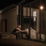 Mia i biały lew - galeria zdjęć - filmweb