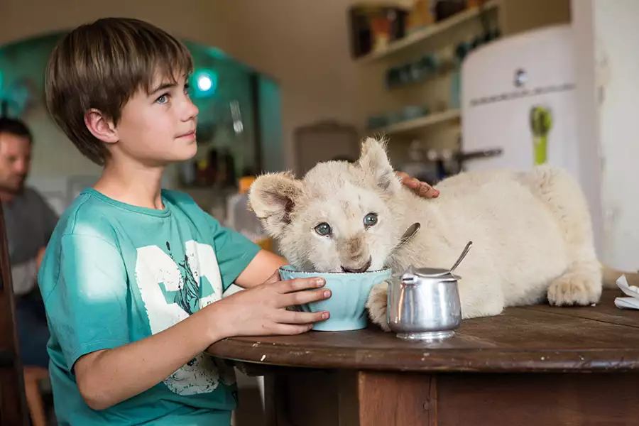 Mia i biały lew - galeria zdjęć - filmweb