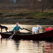 Puteshestvie s domashnimi zhivotnymi - galeria zdjęć - filmweb