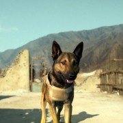 Max - galeria zdjęć - filmweb