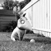 Frankenweenie - galeria zdjęć - filmweb