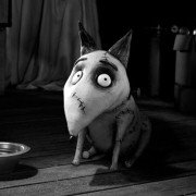 Frankenweenie - galeria zdjęć - filmweb