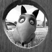 Frankenweenie - galeria zdjęć - filmweb