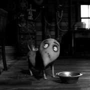 Frankenweenie - galeria zdjęć - filmweb