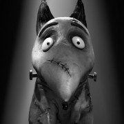 Frankenweenie - galeria zdjęć - filmweb