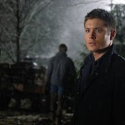 Supernatural - galeria zdjęć - filmweb