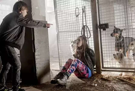 M&oacute;j kumpel duch - galeria zdjęć - filmweb