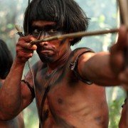 The Green Inferno - galeria zdjęć - filmweb