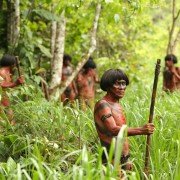 The Green Inferno - galeria zdjęć - filmweb