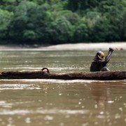 The Green Inferno - galeria zdjęć - filmweb