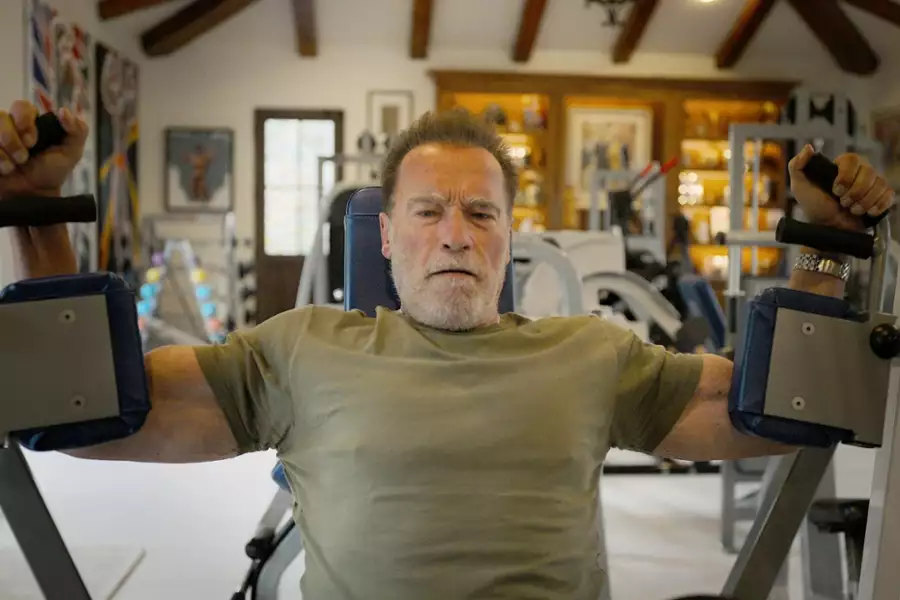 Arnold - galeria zdjęć - filmweb