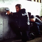 Hawk's Vengeance - galeria zdjęć - filmweb