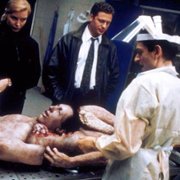 Hawk's Vengeance - galeria zdjęć - filmweb