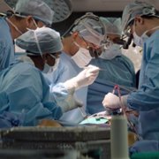 The Surgeon's Cut - galeria zdjęć - filmweb