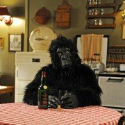 The Comedians - galeria zdjęć - filmweb