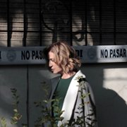 Pająk - galeria zdjęć - filmweb