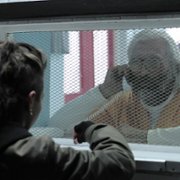 Pająk - galeria zdjęć - filmweb
