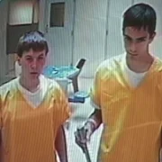 Morderczy krzyk: Prawdziwy horror - galeria zdjęć - filmweb