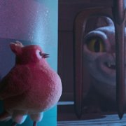 Robin Robin - galeria zdjęć - filmweb