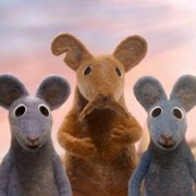Robin Robin - galeria zdjęć - filmweb