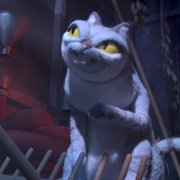 Robin Robin - galeria zdjęć - filmweb