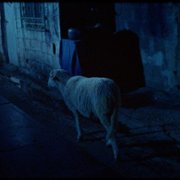 Aunque es de noche - galeria zdjęć - filmweb