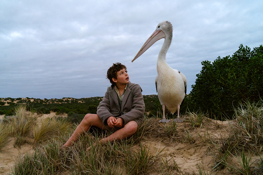 Mój przyjaciel pelikan (recenzja filmu Chłopiec z burzy)