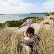 Storm Boy - galeria zdjęć - filmweb
