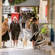 Storm Boy - galeria zdjęć - filmweb