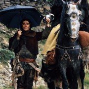 Les Visiteurs - galeria zdjęć - filmweb