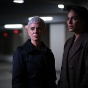 Cobra - galeria zdjęć - filmweb