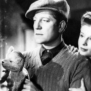 Brzask - galeria zdjęć - filmweb