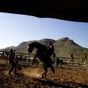 Australia - galeria zdjęć - filmweb