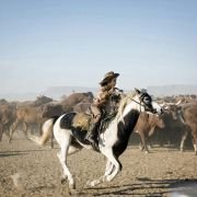 Australia - galeria zdjęć - filmweb