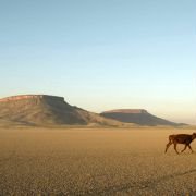 Australia - galeria zdjęć - filmweb