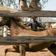 Australia - galeria zdjęć - filmweb
