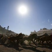 Australia - galeria zdjęć - filmweb