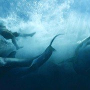 Kon-Tiki - galeria zdjęć - filmweb