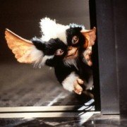 Gremlins 2: The New Batch - galeria zdjęć - filmweb