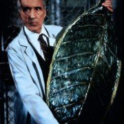 Gremliny 2 - galeria zdjęć - filmweb