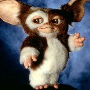 Gremlins 2: The New Batch - galeria zdjęć - filmweb