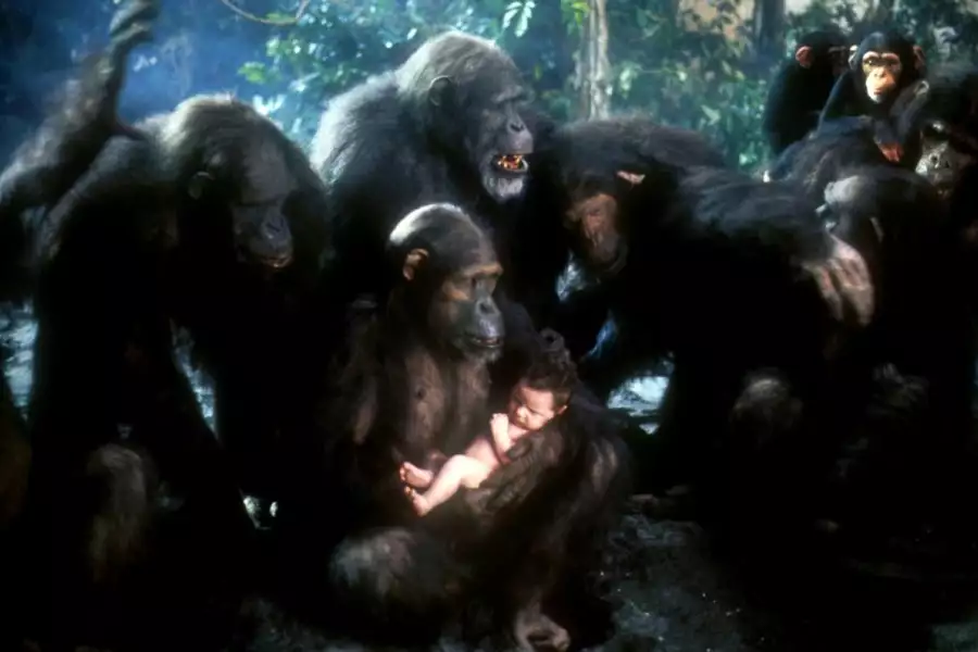 Greystoke: Legenda Tarzana, władcy małp - galeria zdjęć - filmweb