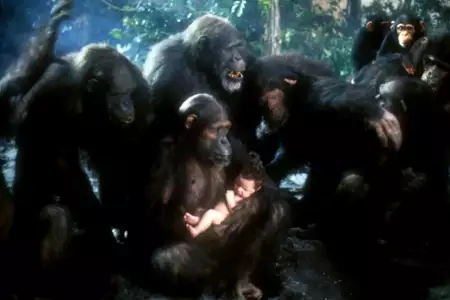 Greystoke: Legenda Tarzana, władcy małp - galeria zdjęć - filmweb
