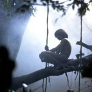 Greystoke: Legenda Tarzana, władcy małp - galeria zdjęć - filmweb