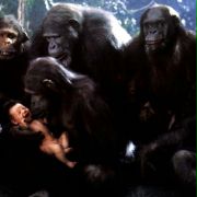Greystoke: Legenda Tarzana, władcy małp - galeria zdjęć - filmweb