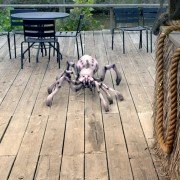 Arachnoquake - galeria zdjęć - filmweb