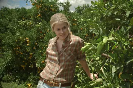 Summer Coda - galeria zdjęć - filmweb